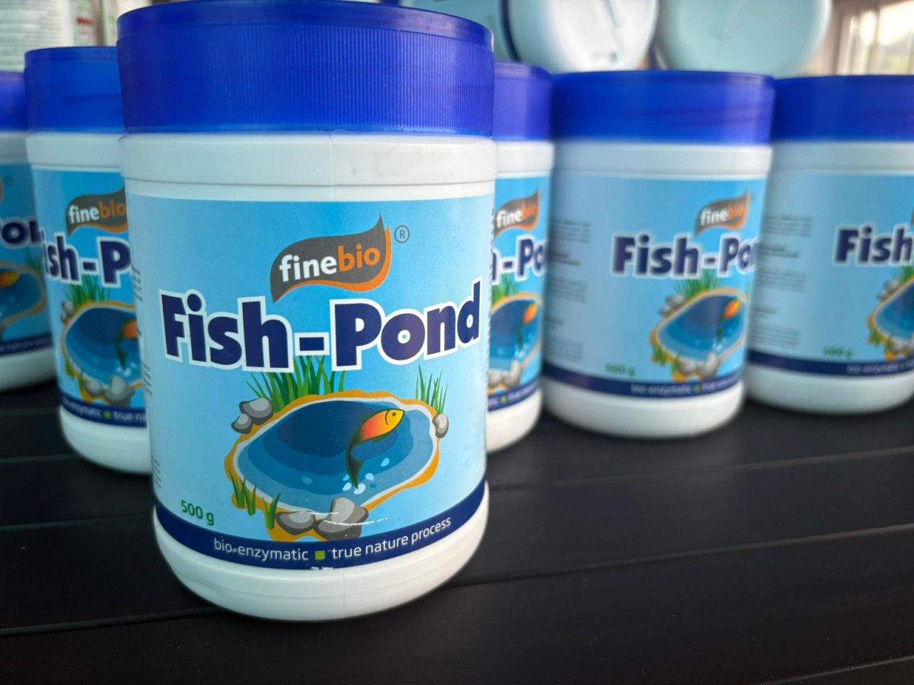 FISH POND