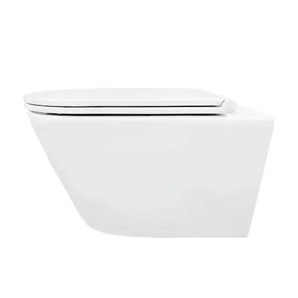 WC školjka konzolna bijela mat Moon Eckle