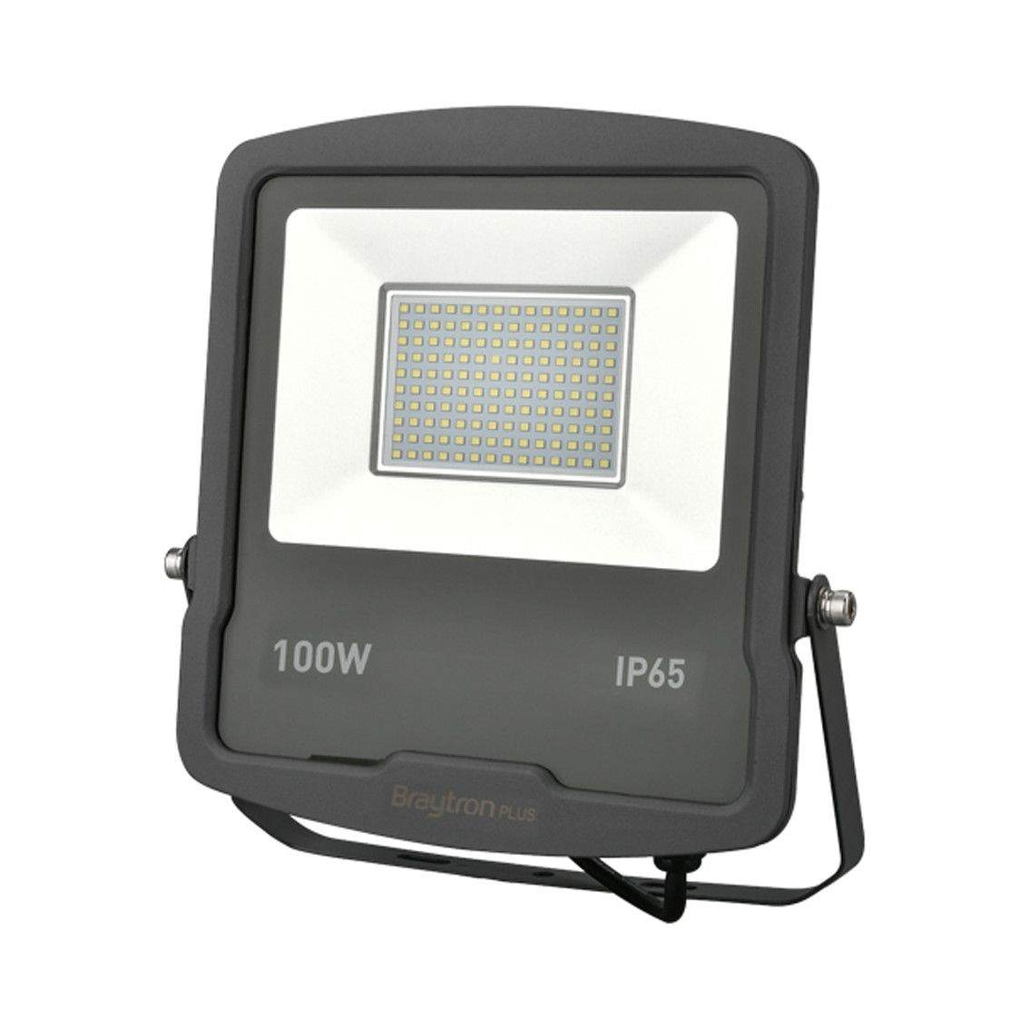 LED reflektor 100W 6500K IP65