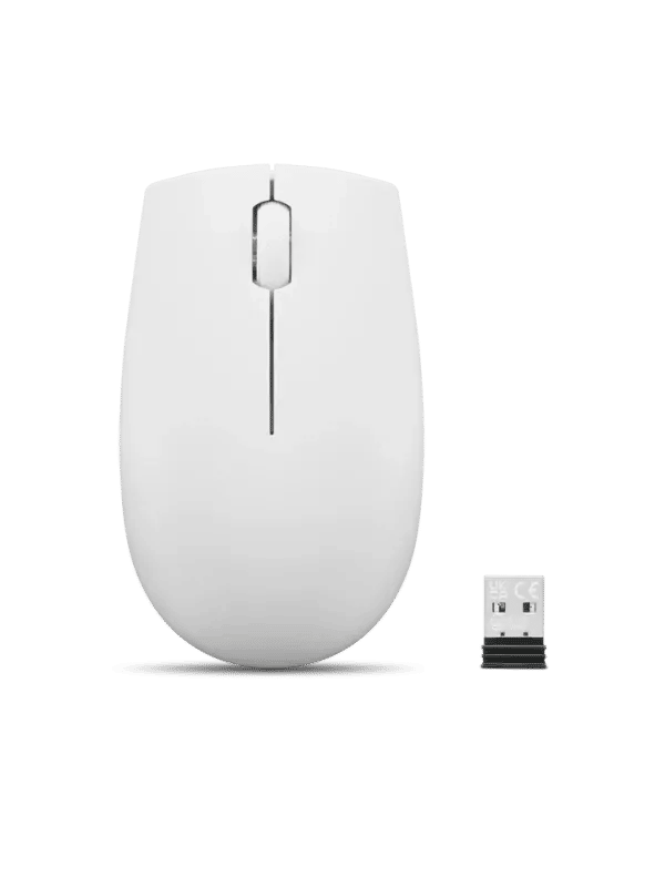 Miš Lenovo 300 Wireless Compact (Cloud Grey)