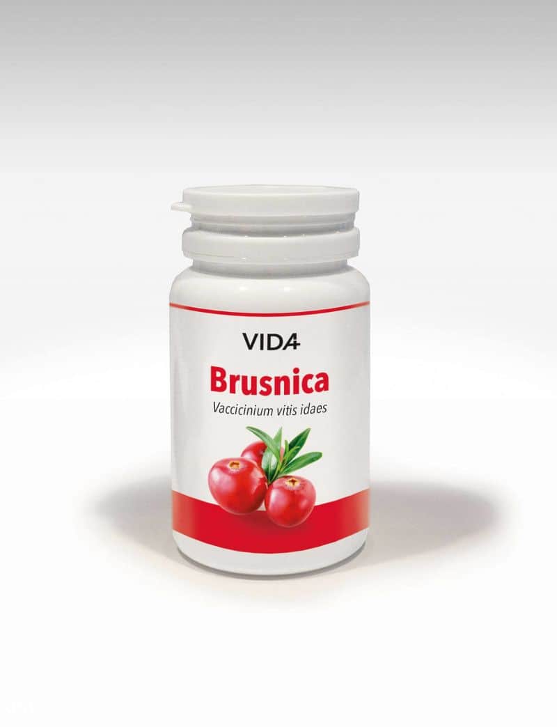 INFEKCIJA MOKRAĆNOG SUSTAVA    -ViDa BRUSNICA-