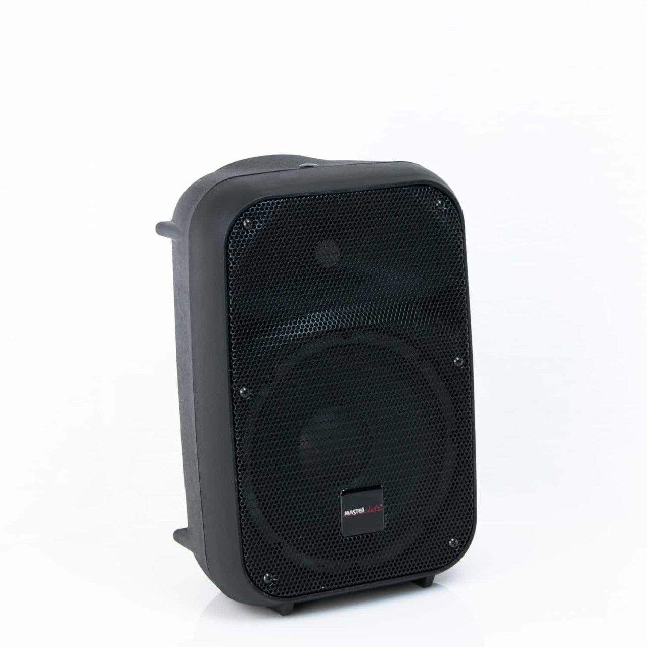 PA zvučna kutija 8'' pasivna Master Audio SB200
