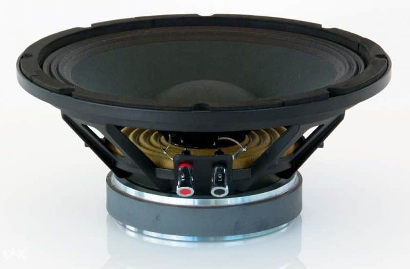 Zvučnik mid-bass 10 Master Audio PA10