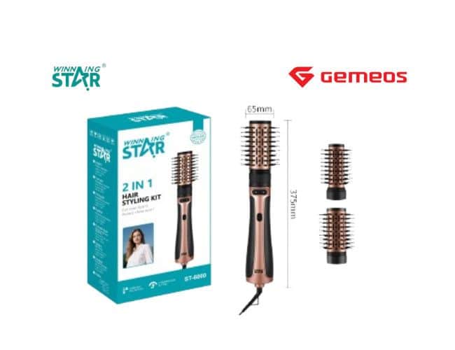 Cetka za feniranje i susenje 2u1 Winning Star ST-6000 1200W