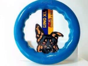 Igračka za pse RING XL