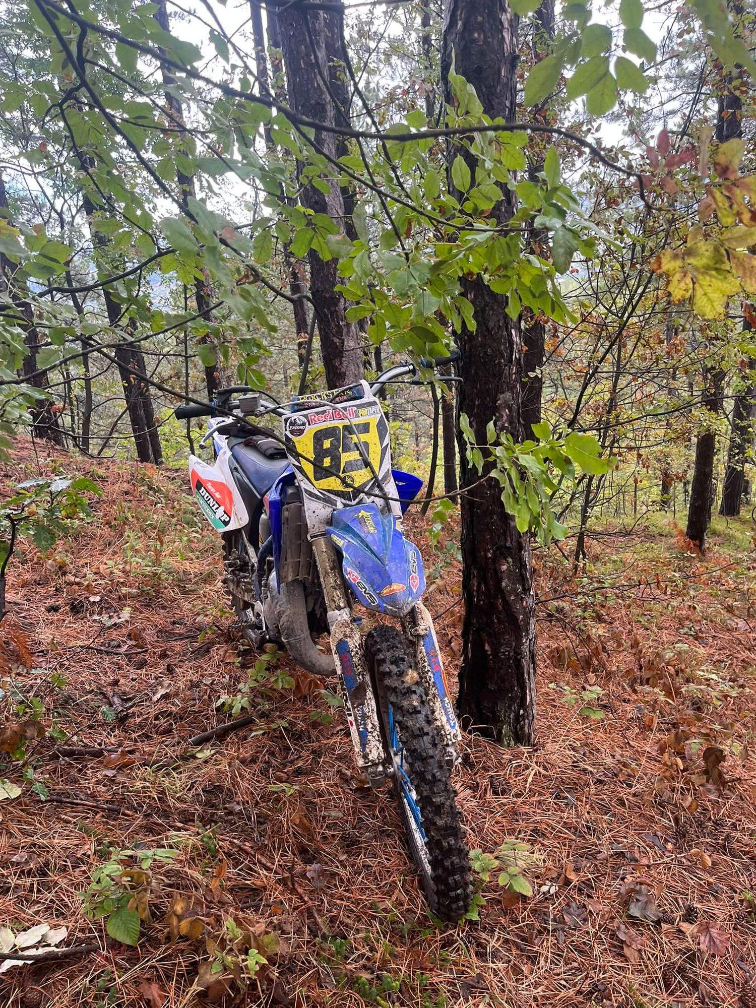 Yamaha YZ125