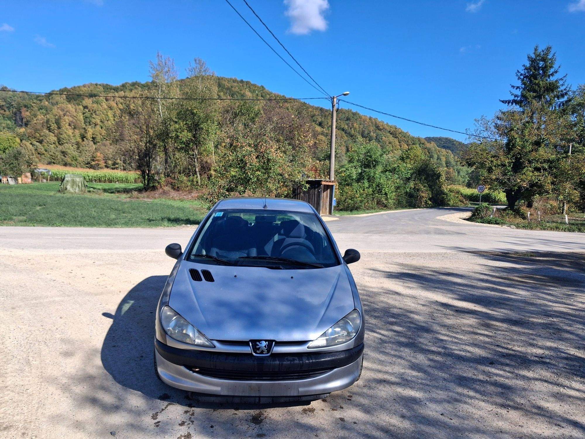 Peugeot 206 2.0 HDi dizel 2002