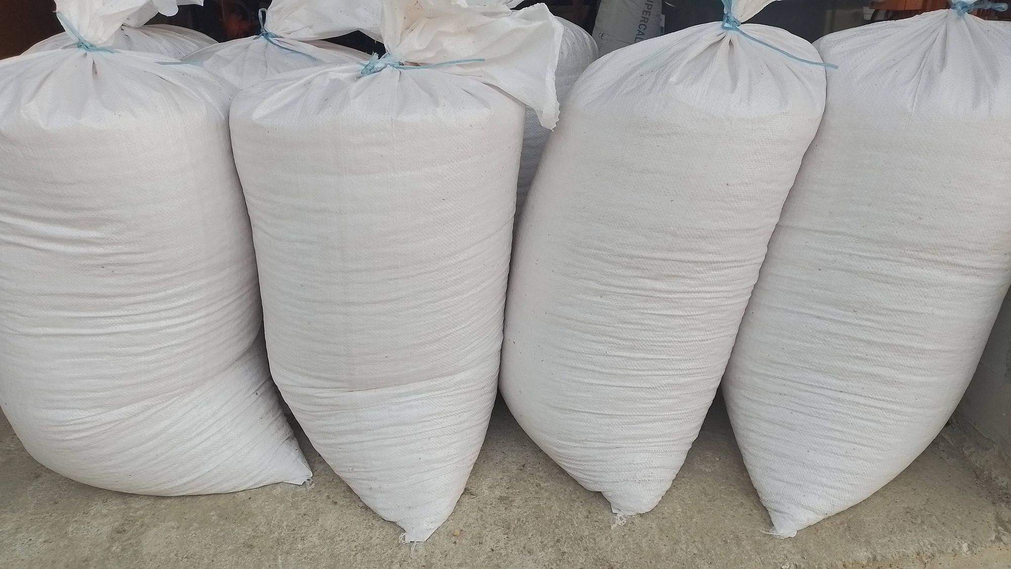 Kukuruz u zrnu, vagan 40 kg