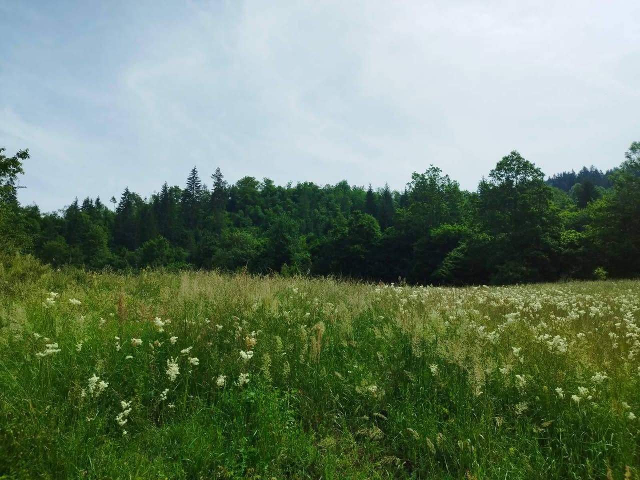 Imanje 9.790 m², Olovske Luke, Olovo: livada i šuma