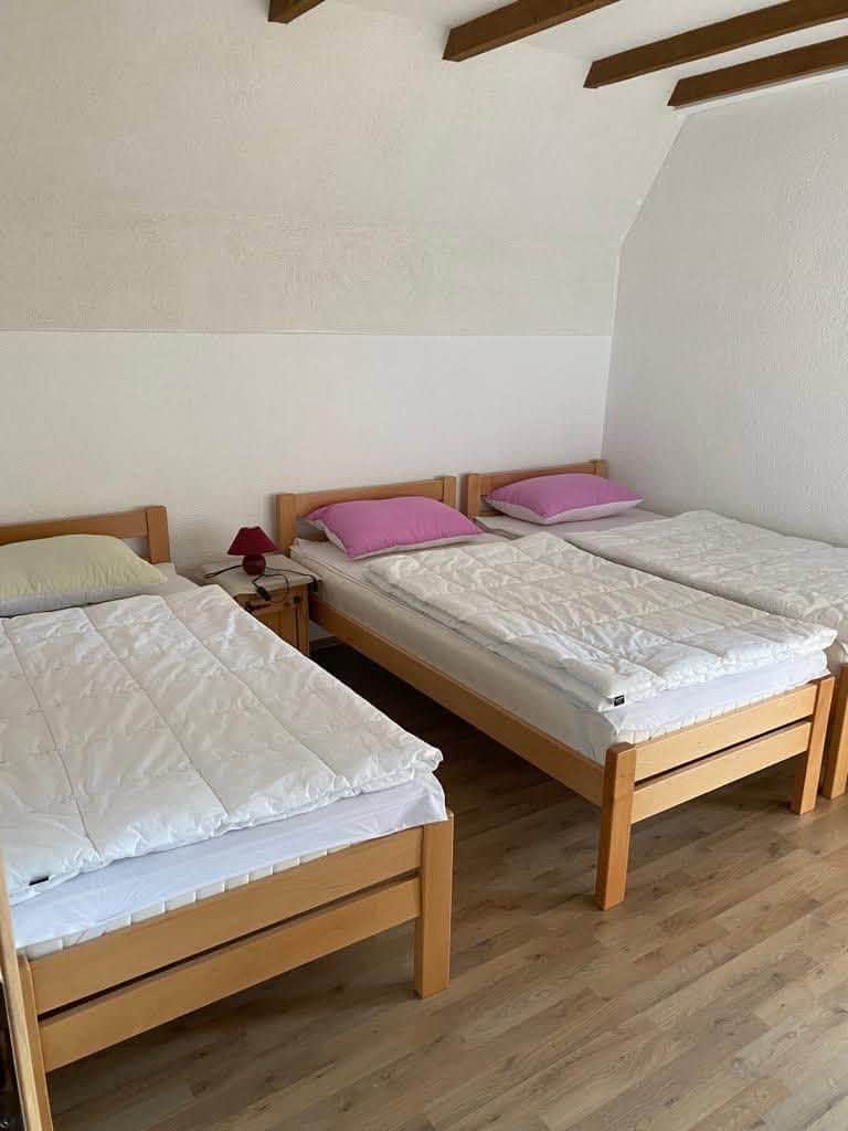 Vikendica na Vlasiću, 130 m2, sa grijanjem i vanjskim kaminom