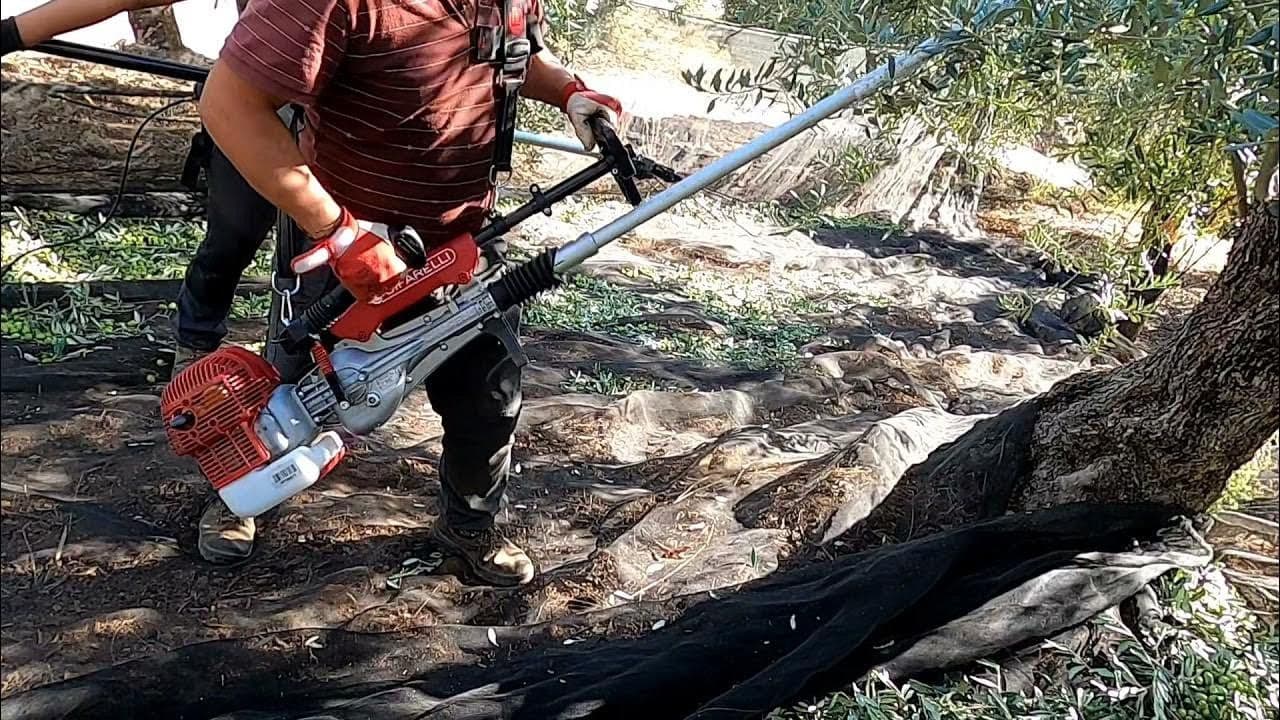 Profesionalni motorni tresač za šljive CIFARELLI SC904R — slika 2 od 2