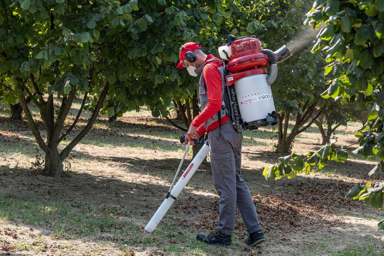 CIFARELLI V1200EEU leđni usisivač lješnik oras badem lješnjak — slika 3 od 5