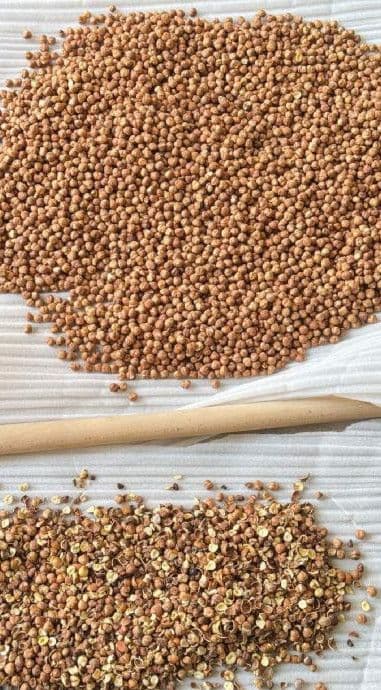Optički sorter lješnjaka - sortirka — slika 4 od 5