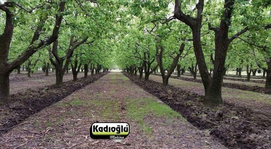 Međuredna tanjirača i nož sa pipalicom Kadioglu KDM110 set — slika 13 od 13