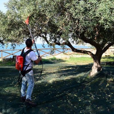 Baterijski tresač CIFARELLI ELIVO SB100T2 — slika 2 od 5