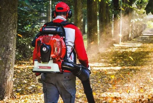 Motorni duvač (puhač) CIFARELLI BL2200 — slika 3 od 3