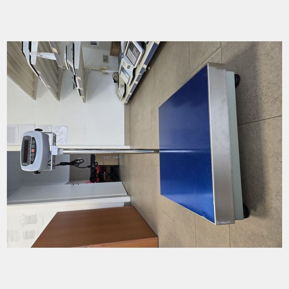 Digitalna (robna) platformska vaga 600x800 - 300kg - baždarena — slika 2 od 3