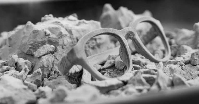 SLS / Selective Laser Sintering 3D Printanje / 3D Print Usluge — slika 11 od 12