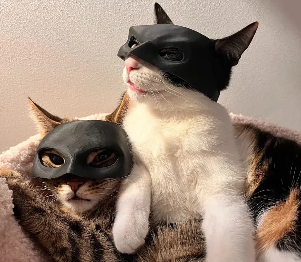 Maska za Mačke / Catwoman — slika 1 od 2