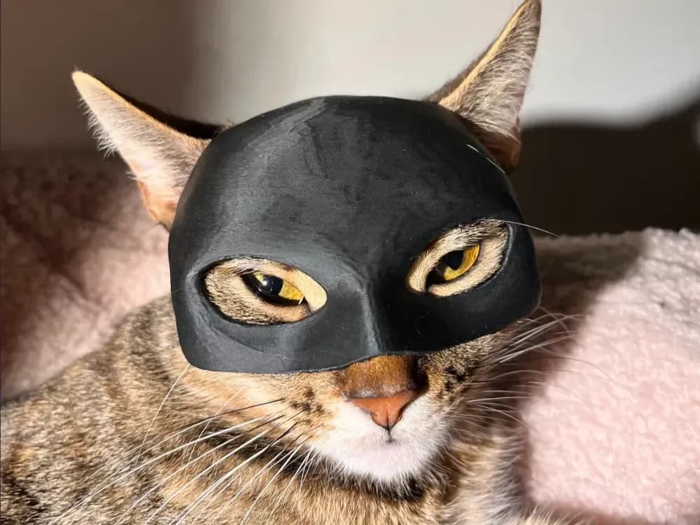 Maska za Mačke / Catwoman — slika 2 od 2