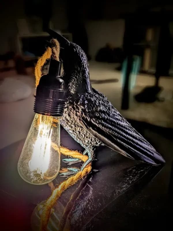 Jedinstvena Stolna Lampa - Vrana — slika 3 od 4