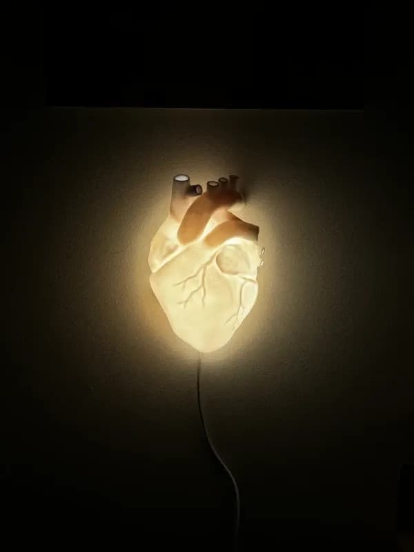 Lampa u Obliku Srca - Jedinstven Zidni Dekor — slika 1 od 3