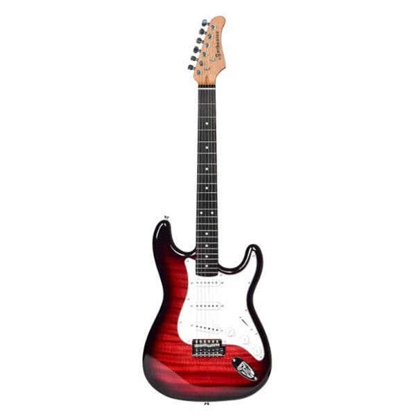 BARBASTRO ET-216 ELEKTRIČA GITARA — slika 2 od 5