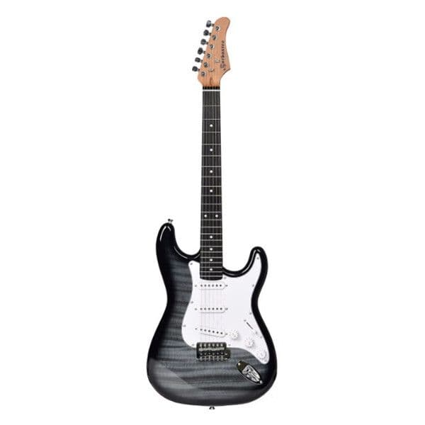 BARBASTRO ET-216 ELEKTRIČA GITARA — slika 1 od 5